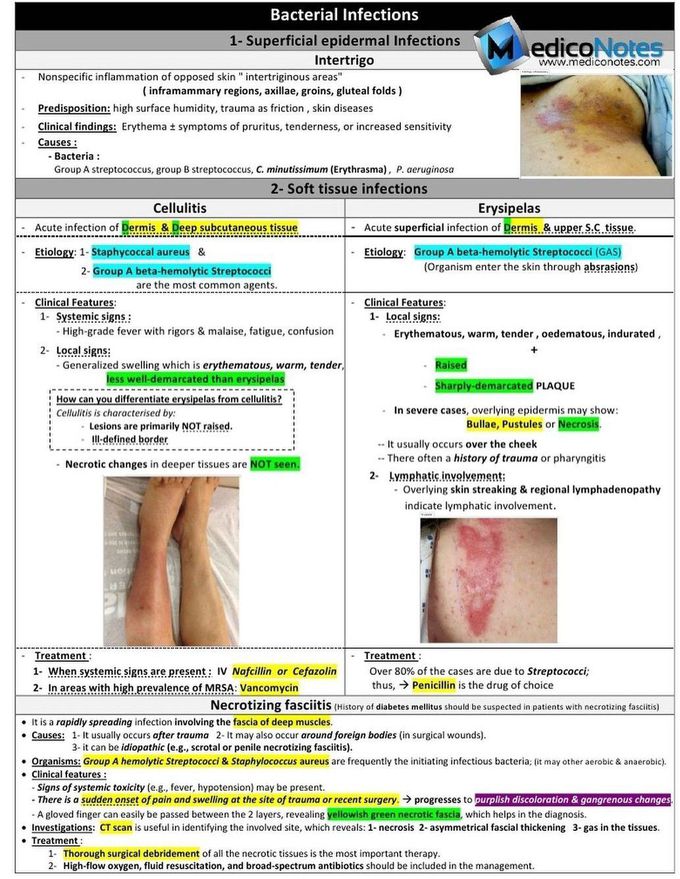 Bacterial Infections