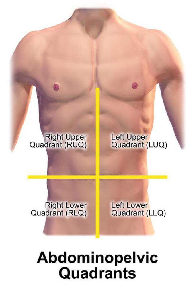 Abdominopelvic quadrant