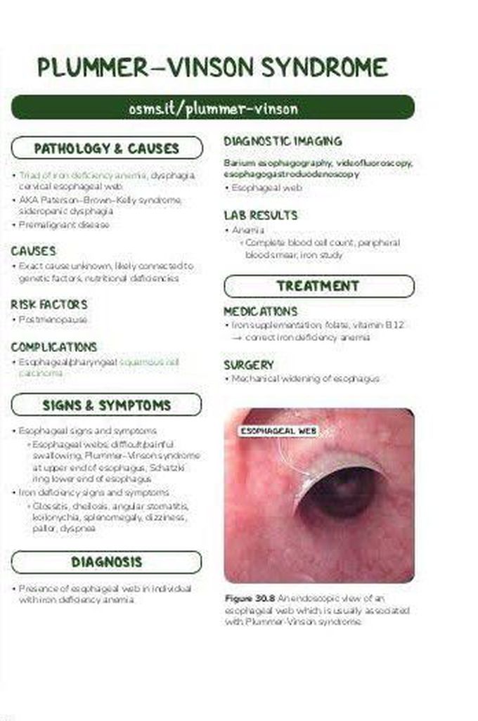 These are the symptoms and the treatment of Plummer vinson syndrome