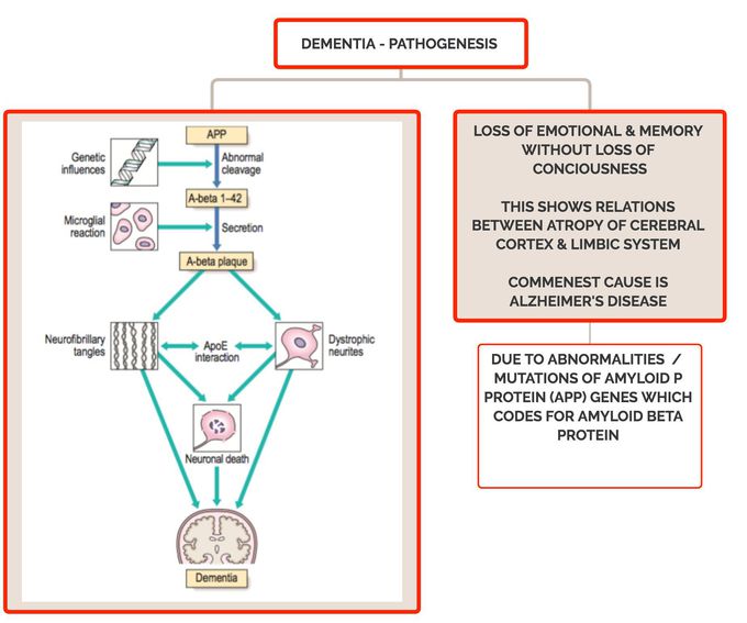 Dementia in action