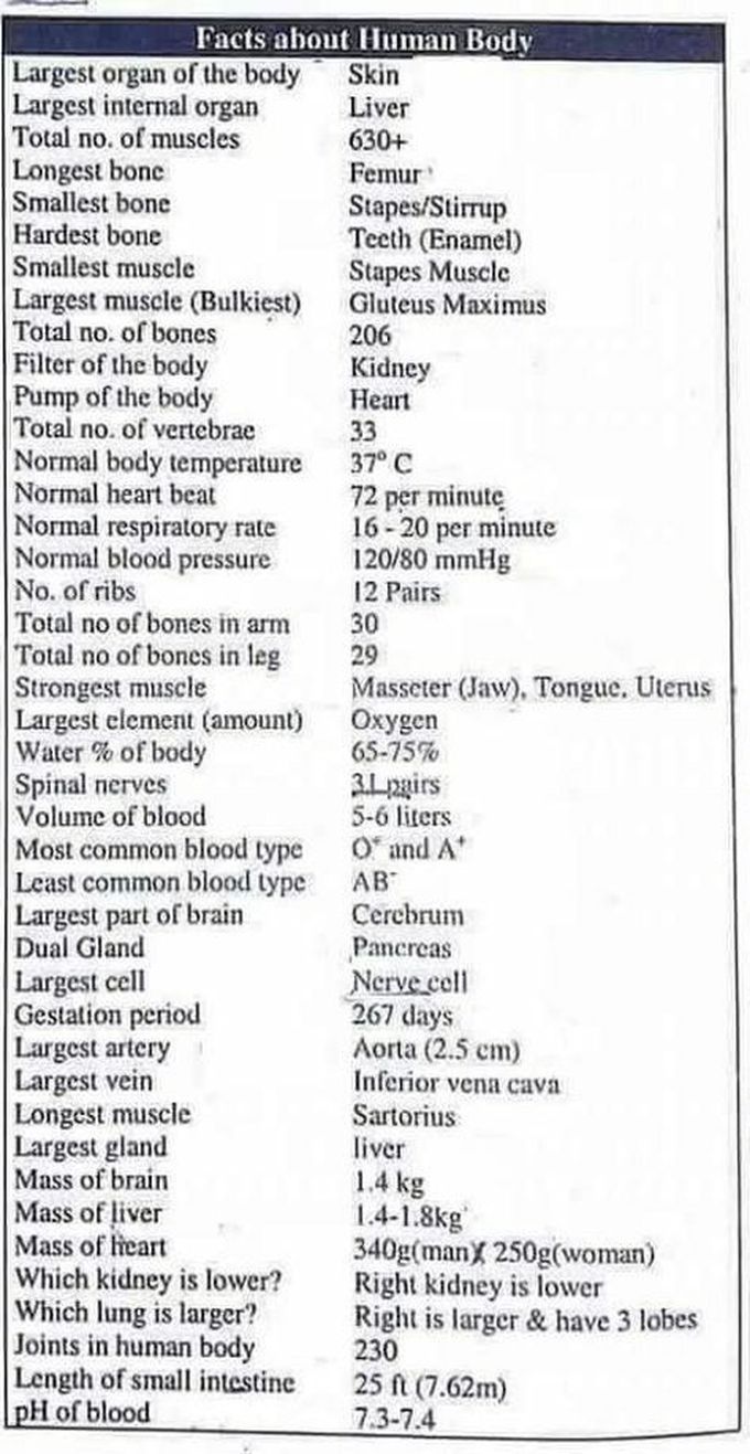 Some important facts about the human body