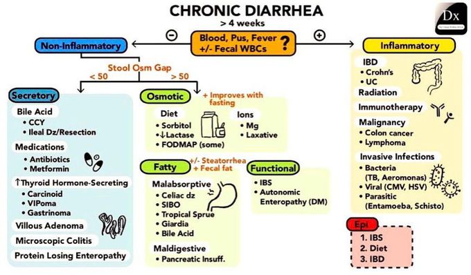 chronic-diarrhea-medizzy