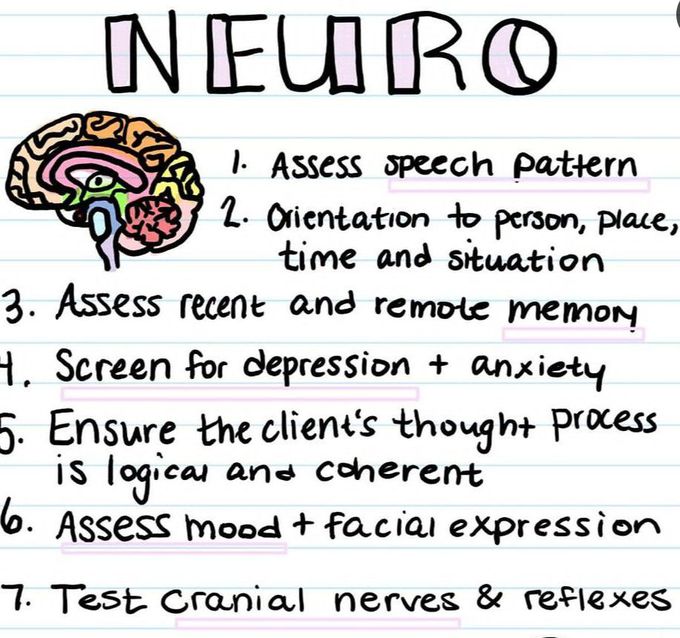 Neurological Examination