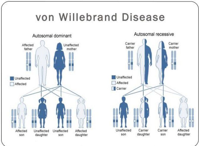 Cause of Von Willebrand disease.