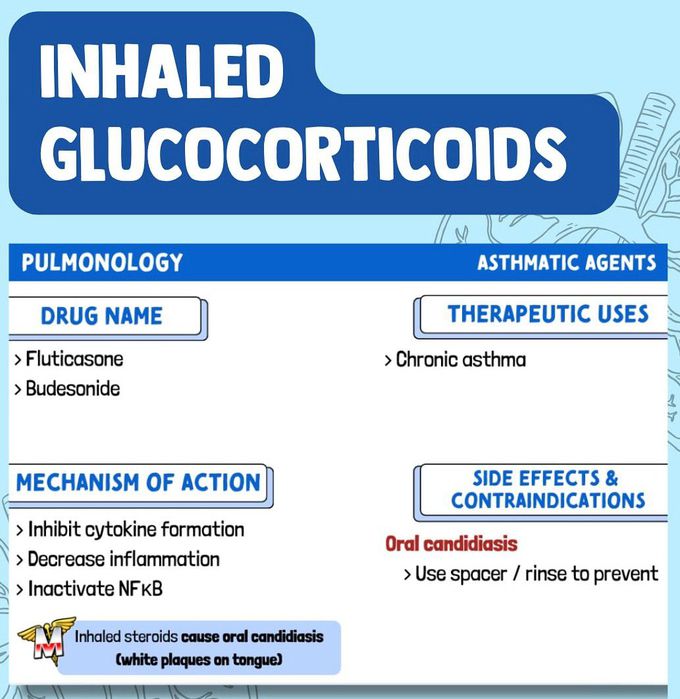 Asthma Meds III