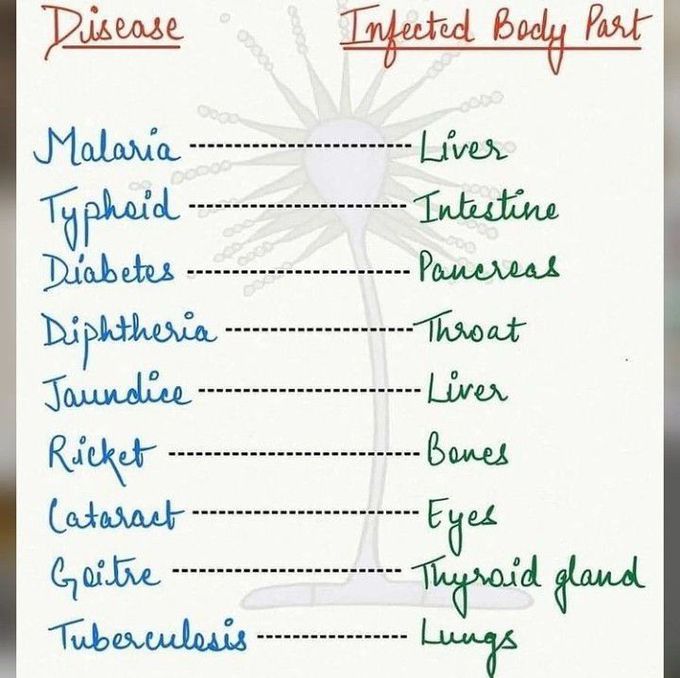 Disease and body parts infected by them