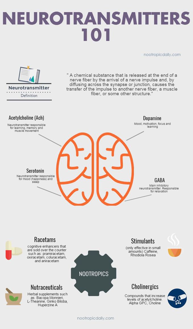 Neurotransmitters 101 Infographic
