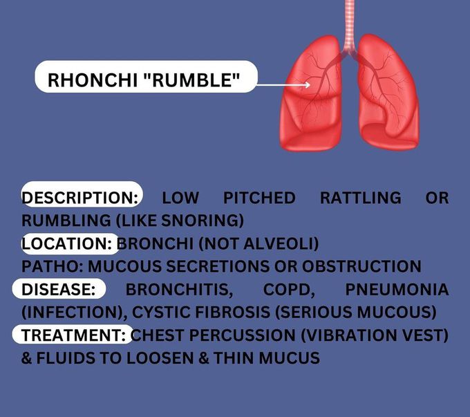 Rhonchi