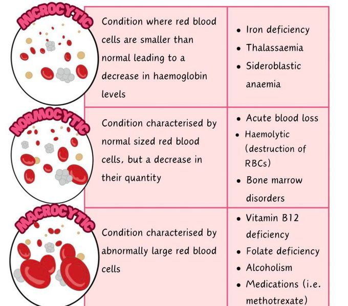 Anemia Classification