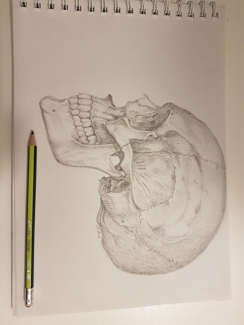 Skull drawing - MEDizzy