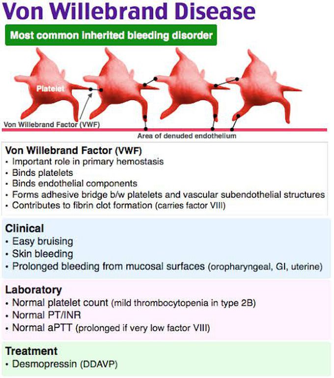 Von Willebrand Disease