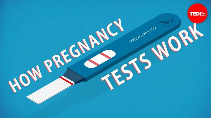 Mechanism Behind Pregnancy Tests