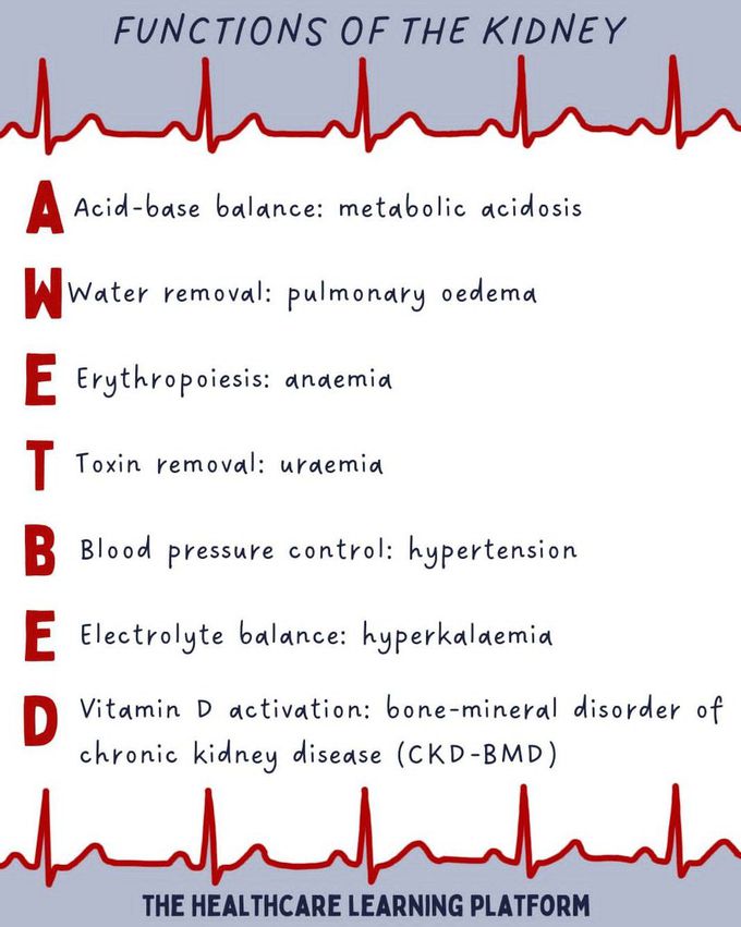 Functions of Kidney