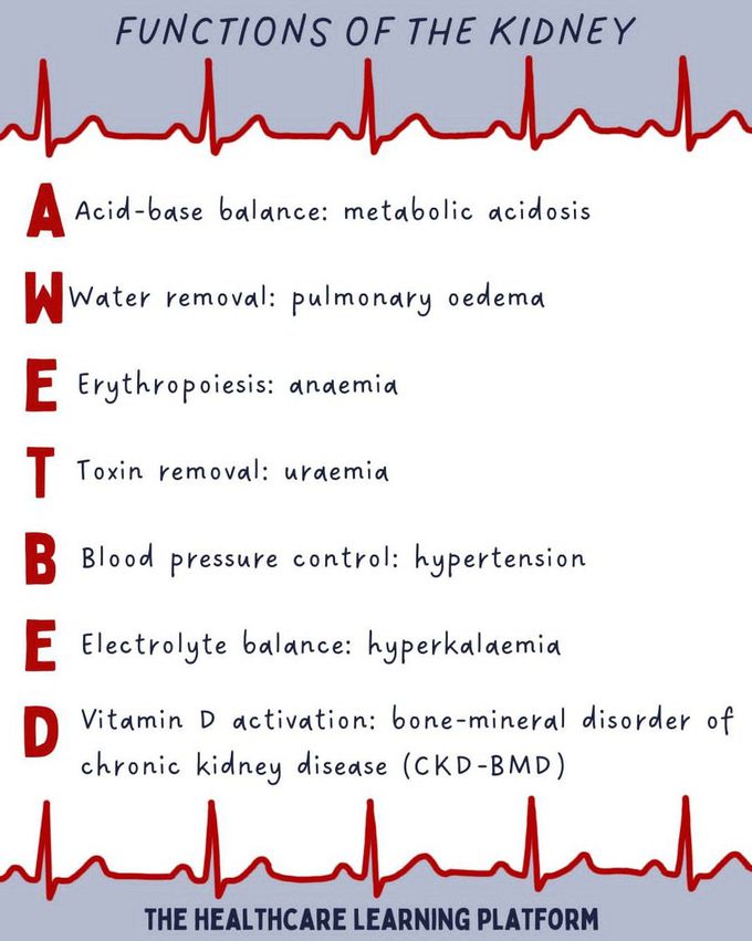 Functions of Kidney