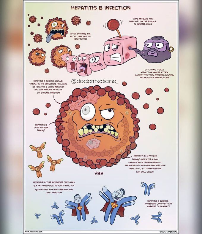 Hepatitis B