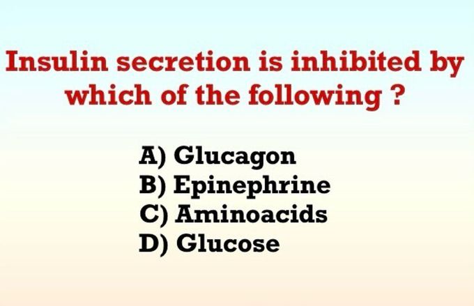 Insulin Secretion