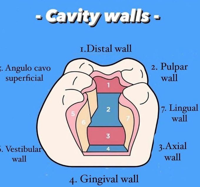 Cavity Walls