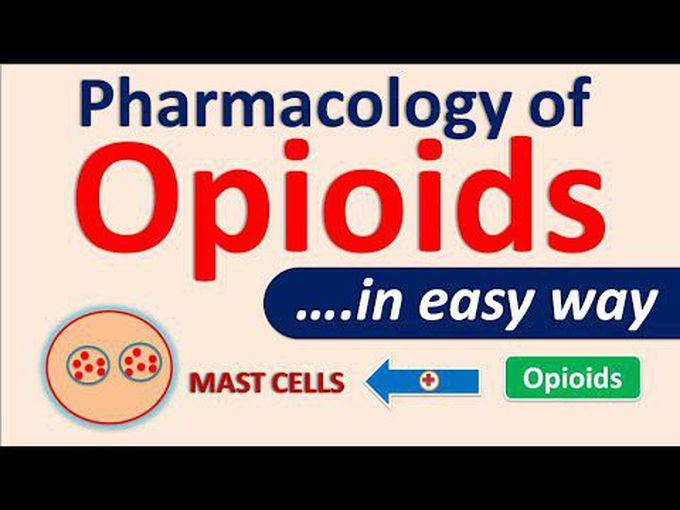 Opioids-Pharmacology