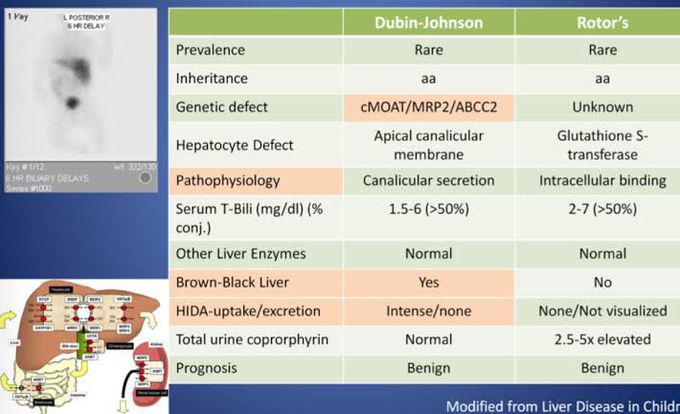 Dubin-Johnson and Rotor's syndrome