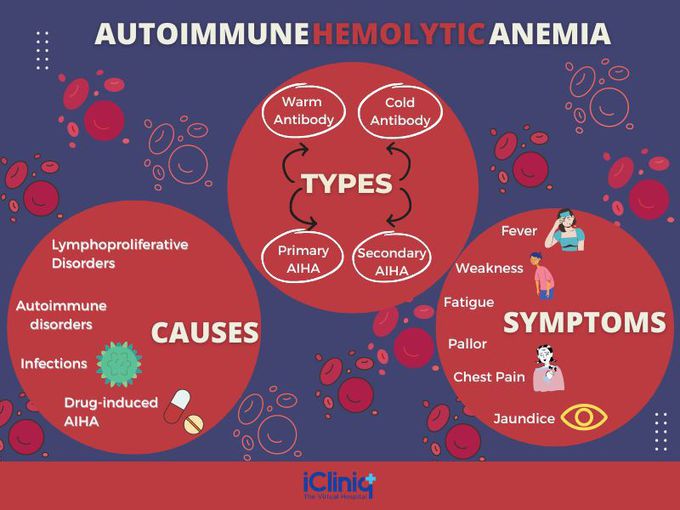 How do healthcare providers treat hemolytic anemia?