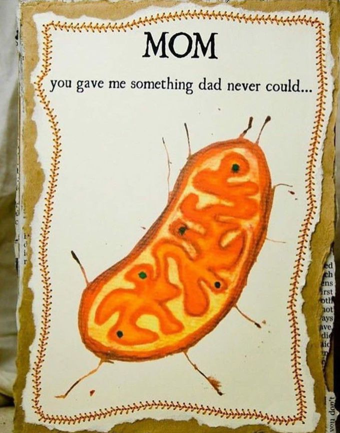 Great mom..😍💛💞