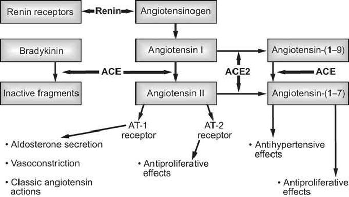 RAAS System