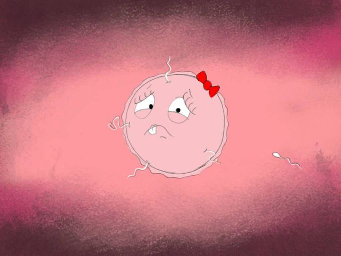 What really happens with Birth Control