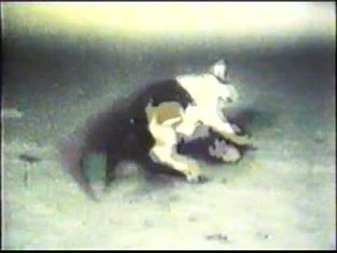 Mercury Poisoning- The Minamata Story