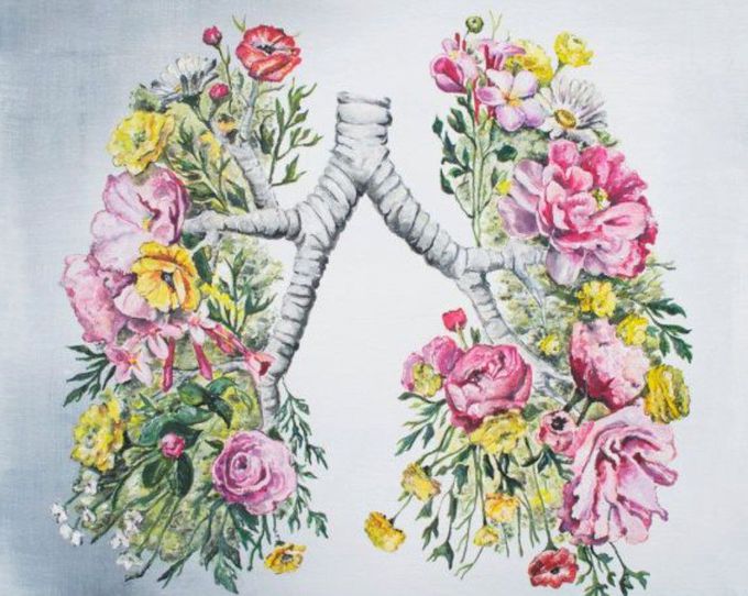 Flowering of the lungs 🌺