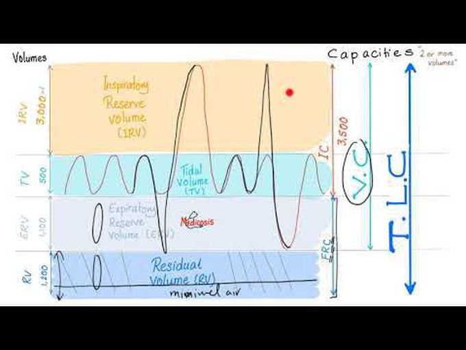 Pulmonary Function Tests (PFTs) Made Simple