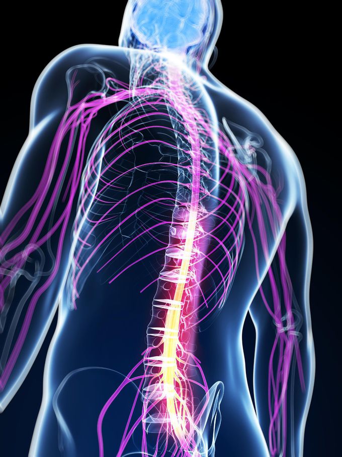 Neuromuscular diseases