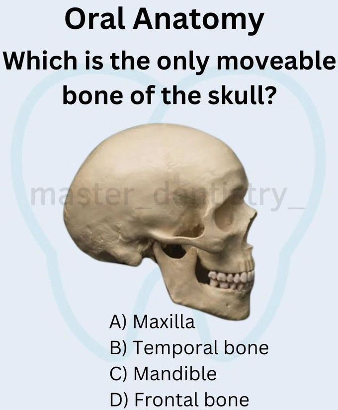 Identify the Bone