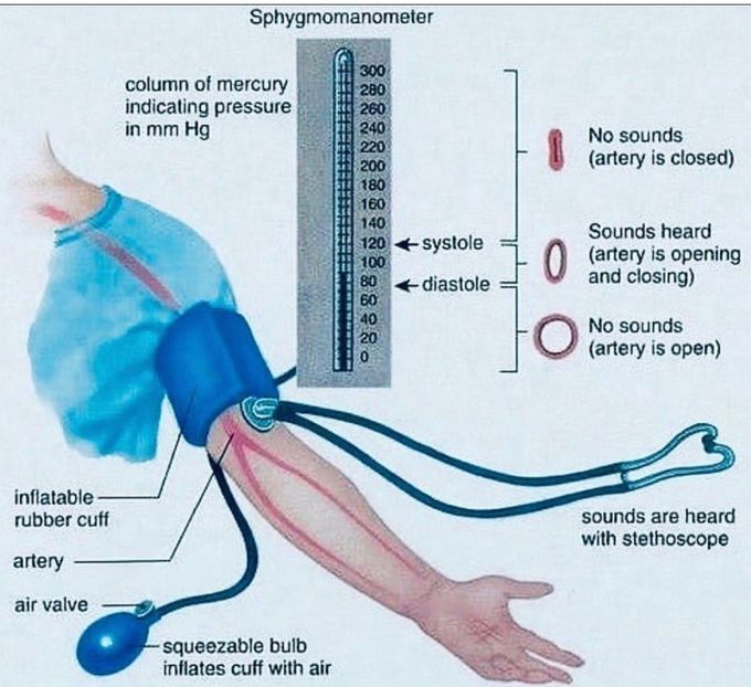 Sphygmomanometer