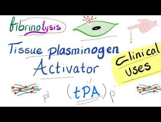 Clinical Uses of Tissue Plasminogen Activator (tPA)