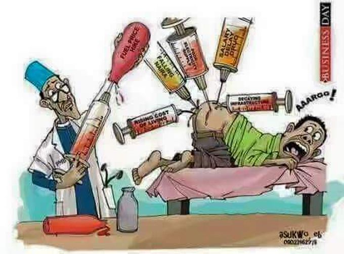 Pure doctor!!!
