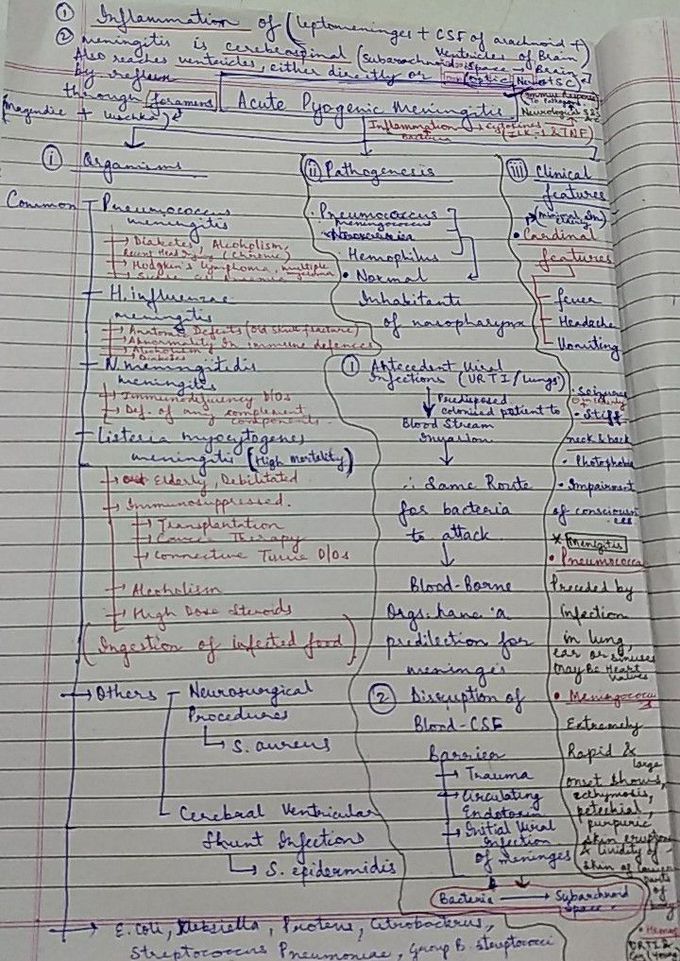 Acute Pyogenic Meningitis