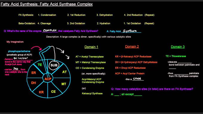 Multi enzyme complex