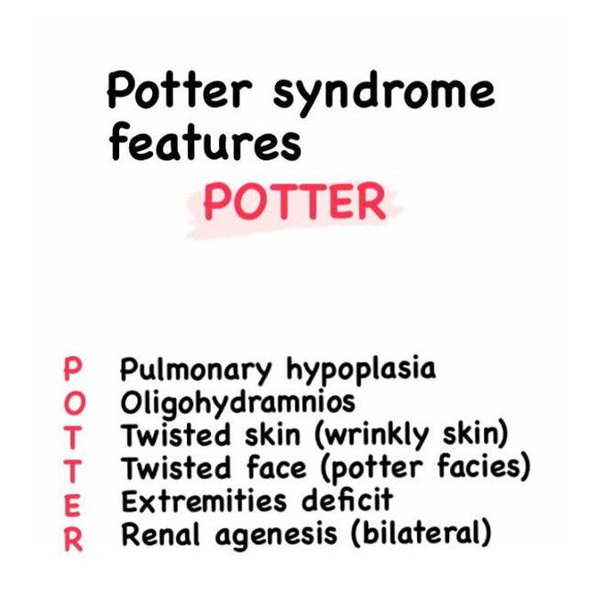 Potter syndrome