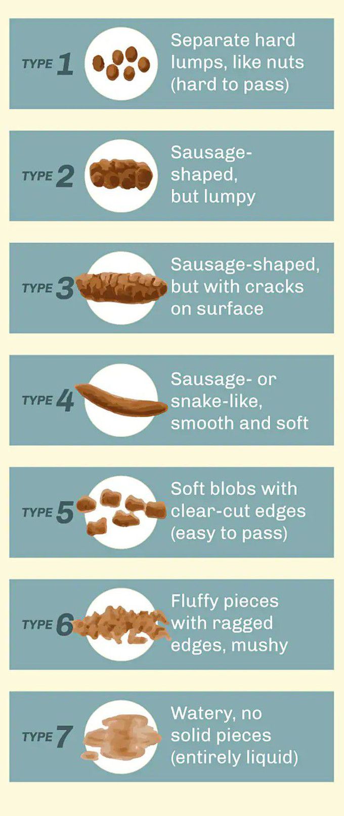 Bristol Stool Chart