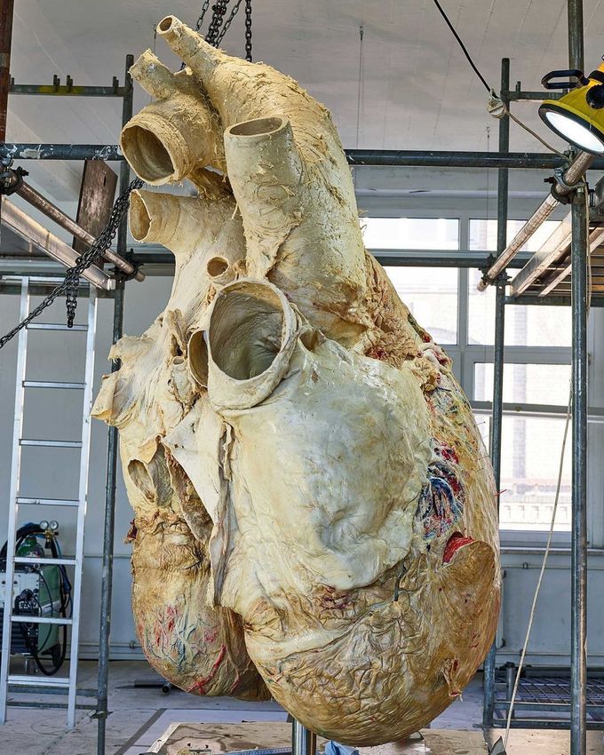 Largest heart on earth