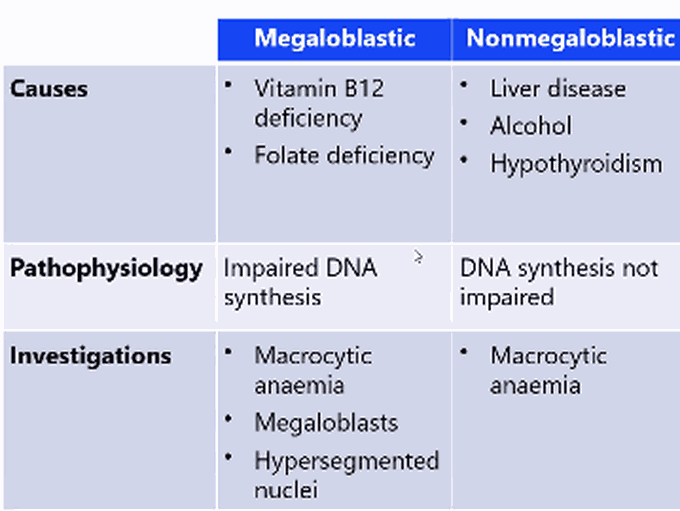 Megaloblastic vs Non megaloblastic