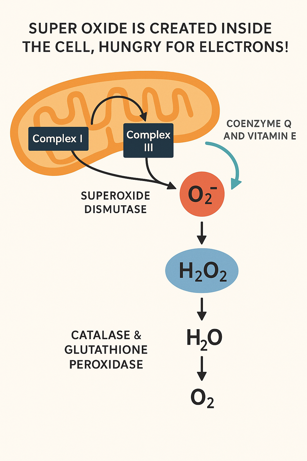 how many mg of glutathione is safe how much glutathione iv is safe Taking Glutathione Supplement? Here's What  To Avoid – Cellular Prime