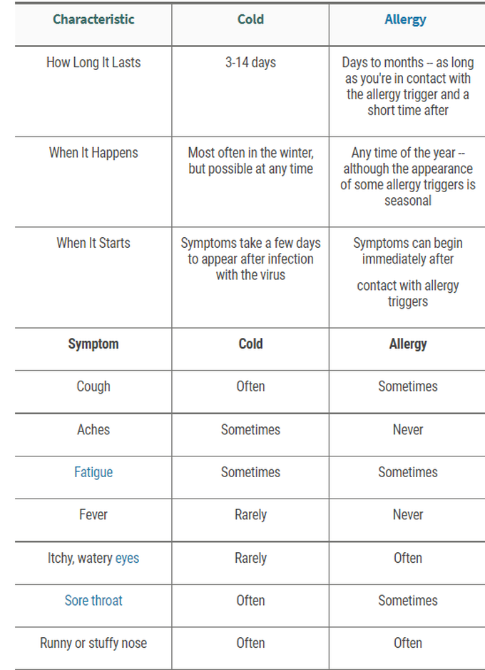 Cold vs Allergy