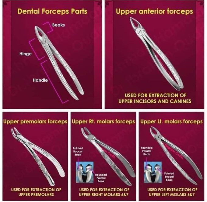 Dental Forceps