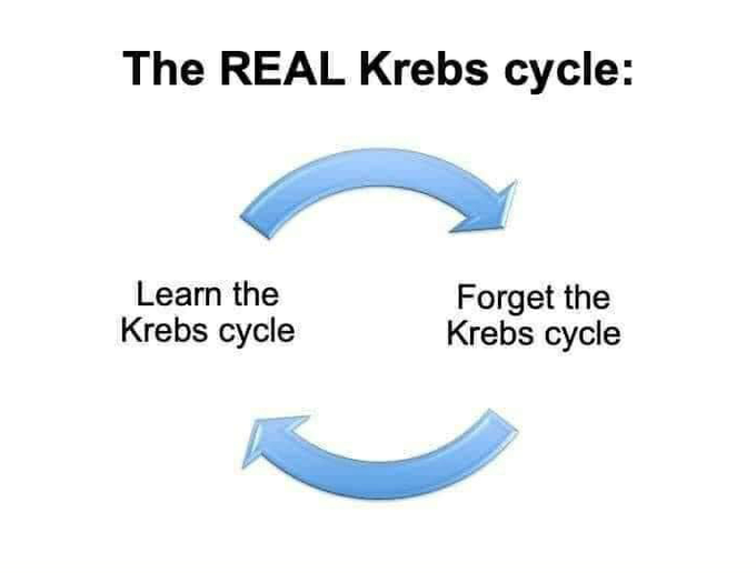 😎😂😂