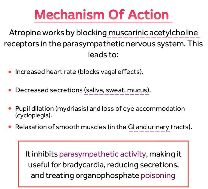 Atropine II