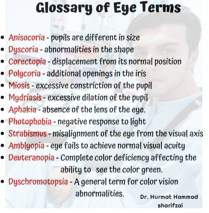 Glossary of the eye terms