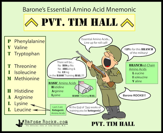 Amino acids classification in a jiffy