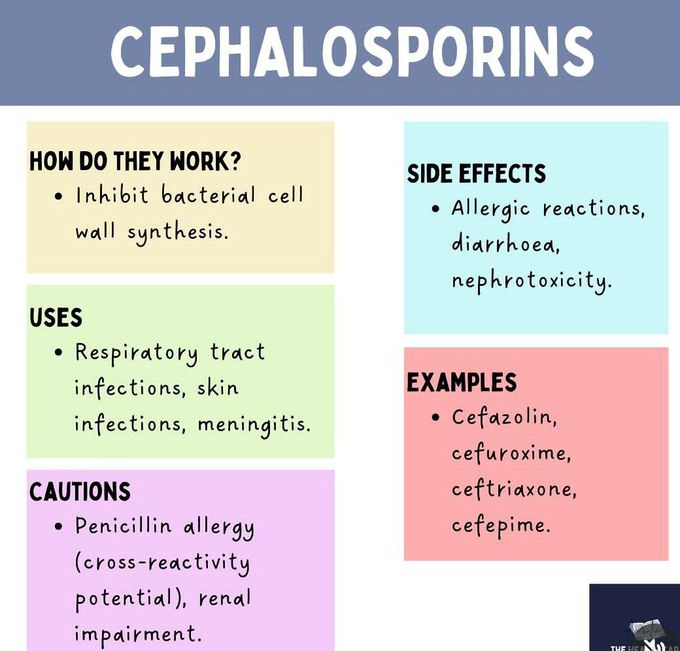 Cephalosporins