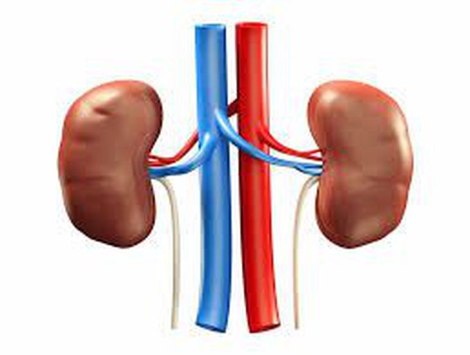 In advanced CKD calcium became low but why tetany not occur? - World of medical notes